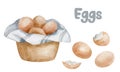 Watercolor product illustration of eggs in a basket and shell