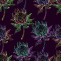 Watercolor protea flowers isolated on black background. Handwork draw. Seamless pattern for design. Neon fantastic flowers