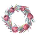 Watercolor protea wreath