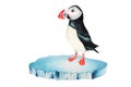 Watercolor puffin bird on an ice floe isolated on white background. Hand painting realistic Arctic and Antarctic ocean