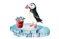 Watercolor puffin bird with red bucket full of fish on an ice floe isolated on white background. Hand painting realistic