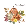 Watercolor pumpkin arrangement with fall flowers and foliage on white background. Autumn floral bouquet and pumpkin illustration. Royalty Free Stock Photo