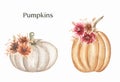 Watercolor pumpkin arrangements, autumn pumpkin set with flower bouquet, fall harvest illustration, thanksgiving day Royalty Free Stock Photo