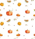 Watercolor pumpkin background