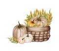 Watercolor Pumpkin Composition, Floral Pumpkins, Halloween Clip Art, Autumn Design Elements, Fall Arrangement, Harvest