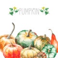 Watercolor pumpkin.