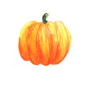 Watercolor pumpkin illustration on white background. Autumn harvest, for the holiday Halloween