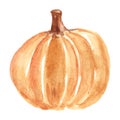 Watercolor Pumpkin isolated on white. Autumn decoration element for design.