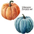 Watercolor pumpkin set. Hand painted orange and blue vegetables isolated on white background. Autumn pumpkin print for Royalty Free Stock Photo