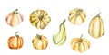 Watercolor pumpkin set. Hand painted orange vegetables isolated on white background. Autumn pumpkin print for design Fall design Royalty Free Stock Photo