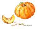 Watercolor pumpkin with a slice and seeds on white background Royalty Free Stock Photo