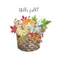 Watercolor pumpkins and apples in a harvest basket, isolated on white background. Hand painted fall seasonal vegetables, fruits Royalty Free Stock Photo