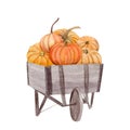 watercolor pumpkins in box, Halloween illustration set, harvest, Thanksgiving autumn design elements, fall, holiday clip Royalty Free Stock Photo