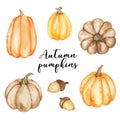 Watercolor pumpkins clipart, Autumn harvest set, Fall pumpkins, Garden, hand drawn illustration of pumpkins isolated