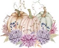 Watercolor pumpkins decorated with fall flowers, autumn leaves, berries. Beautiful floral and pumpkin arrangement. Royalty Free Stock Photo