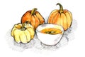 Watercolor of pumpkins and pumpkin soup