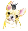 Watercolor puppy dog illustration. French Bulldog breed