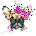 Watercolor puppy dog illustration. French Bulldog breed. Royalty Free Stock Photo