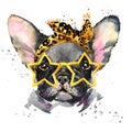 Watercolor puppy dog illustration. French Bulldog breed. Royalty Free Stock Photo
