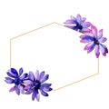 Watercolor purple african daisy. Floral botanical flower. Frame border ornament square. Royalty Free Stock Photo