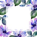 Watercolor purple african daisy. Floral botanical flower. Frame border ornament square.