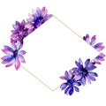 Watercolor purple african daisy. Floral botanical flower. Frame border ornament square. Royalty Free Stock Photo