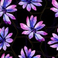 Watercolor purple african daisy. Floral botanical flower. Seamless background pattern. Royalty Free Stock Photo