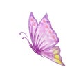 Watercolor purple butterfly with yellow spots