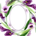 Watercolor purple callas flower. Floral botanical flower. Frame border ornament square. Royalty Free Stock Photo