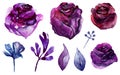 Watercolor purple flowers. Lilac and blue floral vector Royalty Free Stock Photo