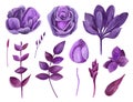 Watercolor purple flowers vector clip art. Lilac floral clipart Royalty Free Stock Photo