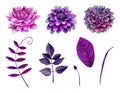Watercolor Purple Flowers Vector