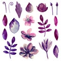 Watercolor purple flowers vector Royalty Free Stock Photo