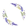 Watercolor purple lavender flowers. Floral botanical flower. Frame border ornament square. Royalty Free Stock Photo