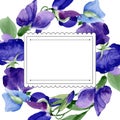 Watercolor purple sweet pea flower. Floral botanical flower. Frame border ornament square.