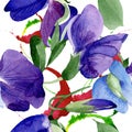 Watercolor purple sweet pea flower. Floral botanical flower. Seamless background pattern. Royalty Free Stock Photo
