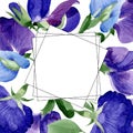 Watercolor purple sweet pea flower. Floral botanical flower. Frame border ornament square. Royalty Free Stock Photo