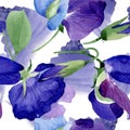 Watercolor purple sweet pea flower. Floral botanical flower. Seamless background pattern. Royalty Free Stock Photo