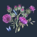 Watercolor purple thistle, blue butterflies, wild flowers illustration, meadow herbs Royalty Free Stock Photo