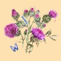 Watercolor purple thistle, blue butterflies, wild flowers illustration, meadow herbs Royalty Free Stock Photo