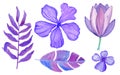 Watercolor purple tropical flowers and leaves isolated on white background. Botanical illustration set. Royalty Free Stock Photo