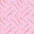 Watercolor pussy willow branches seamless pattern. Hand drawn tree twigs with buds isolated on pink background