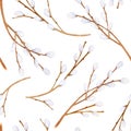 Watercolor pussy willow branches seamless pattern. Hand drawn tree twigs with buds isolated on white background