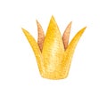 Watercolor queen crown isolated