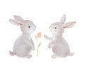 Watercolor Rabbits Clipart, Watercolor Flower