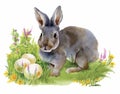 Watercolor rabbits in green grass vector illustration Royalty Free Stock Photo