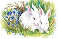 Watercolor rabbits in green grass vector illustration Royalty Free Stock Photo