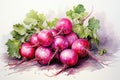 watercolor radish isolated on white , AI Generated