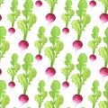 Watercolor radish seamless pattern. Organic product vector hand paint background.