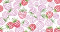 Raspberry Pattern Watercolor Illustration Seamless Berries Background for Textile and Wrapping Paper Design Royalty Free Stock Photo